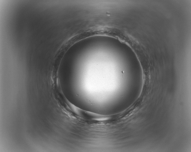 X0000070431206200606091255