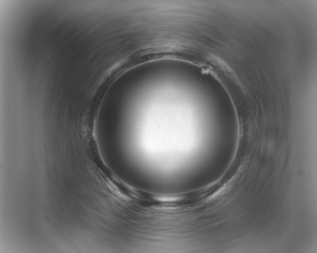X0000070431210200606091255