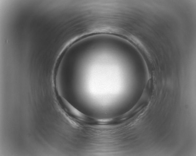 X0000070431230200606091255