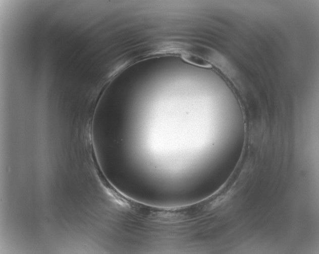 X0000070431241200606091256