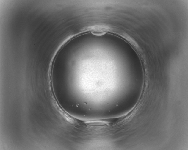X0000070431248200606091256