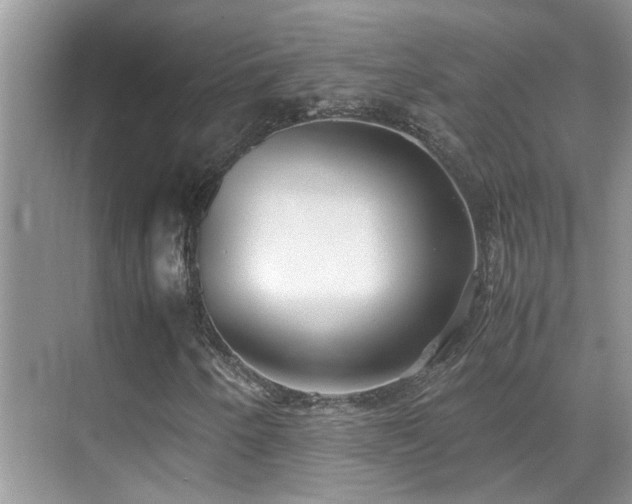 X0000070431250200606091255