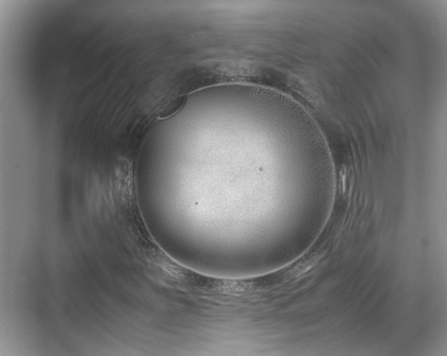 X0000070431251200606091255