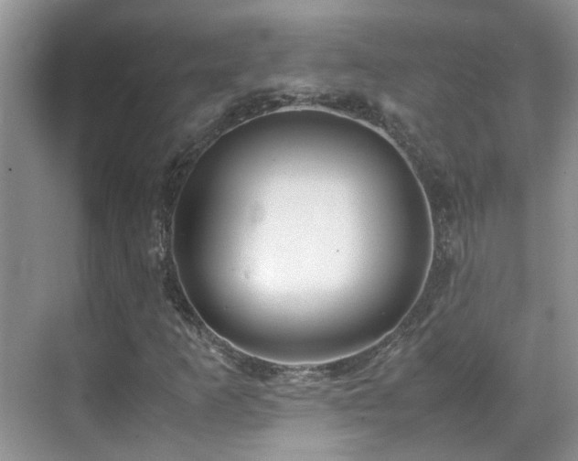 X0000070431253200606091255