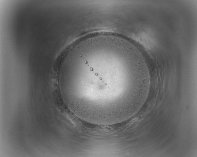 X0000070431255200606091255