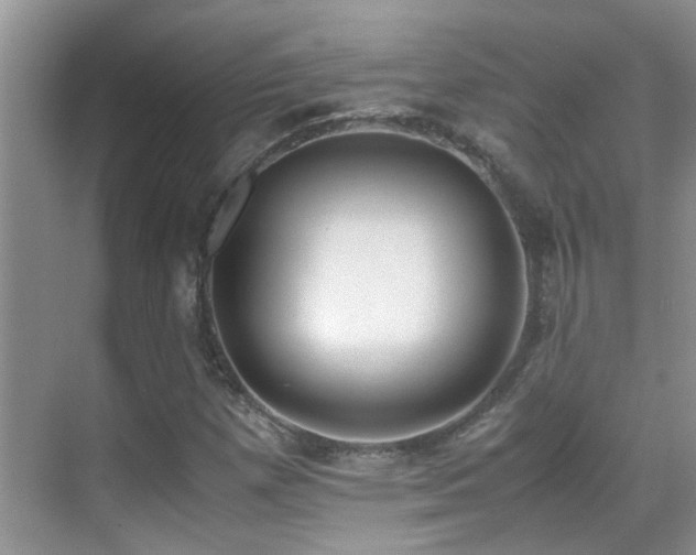 X0000070431257200606091255