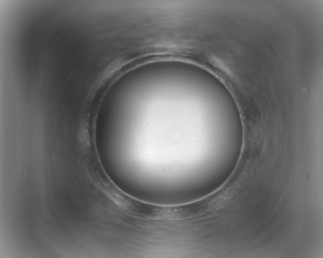 X0000070431259200606091255
