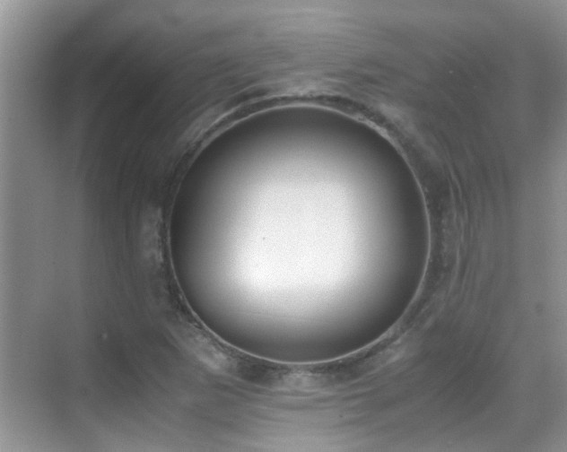 X0000070431265200606091254