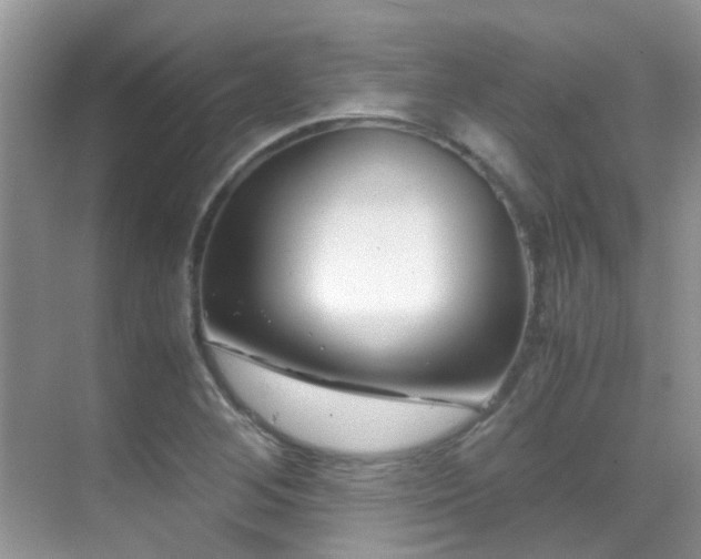 X0000070431268200606091254
