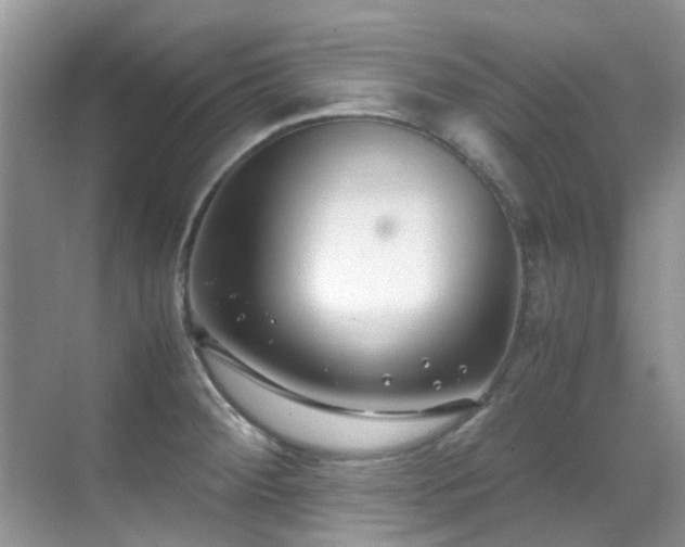 X0000070431284200606091254