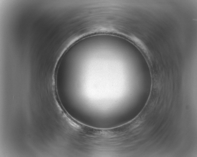 X0000070431287200606091254