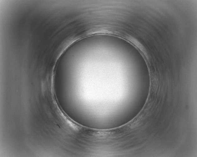 X0000070431290200606091254