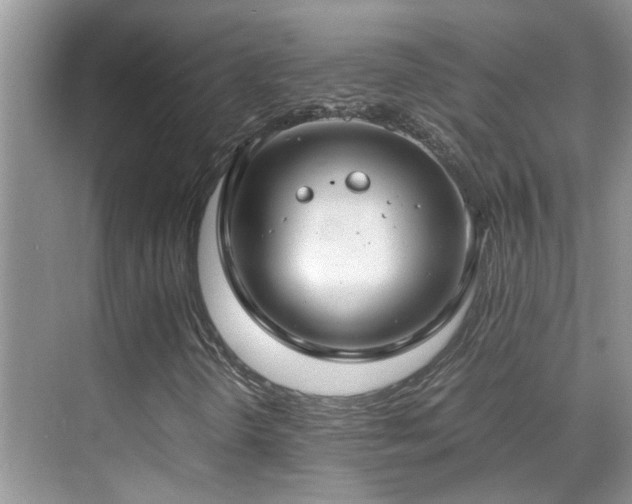 X0000070431298200606091253