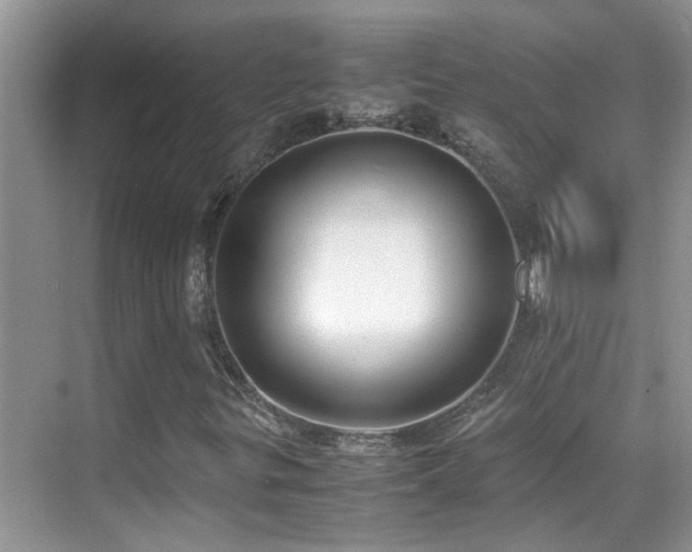 X0000070431299200606091253
