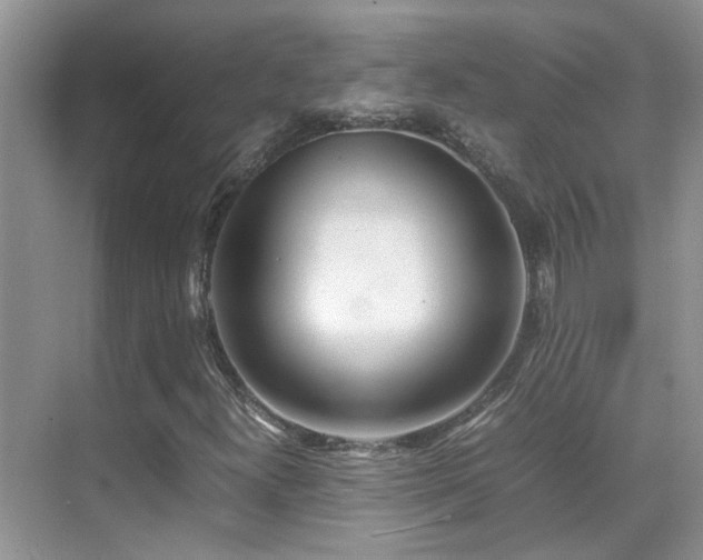 X0000070431300200606091253