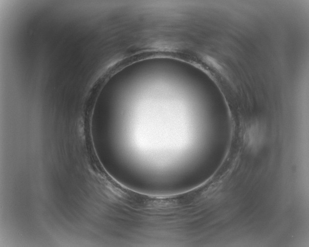 X0000070431307200606091253