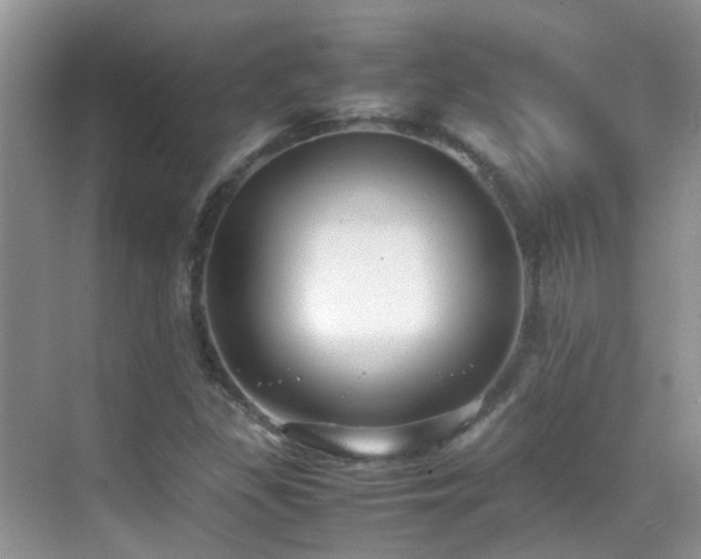 X0000070431309200606091253