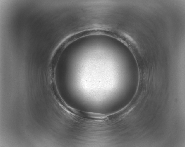 X0000070431310200606091253