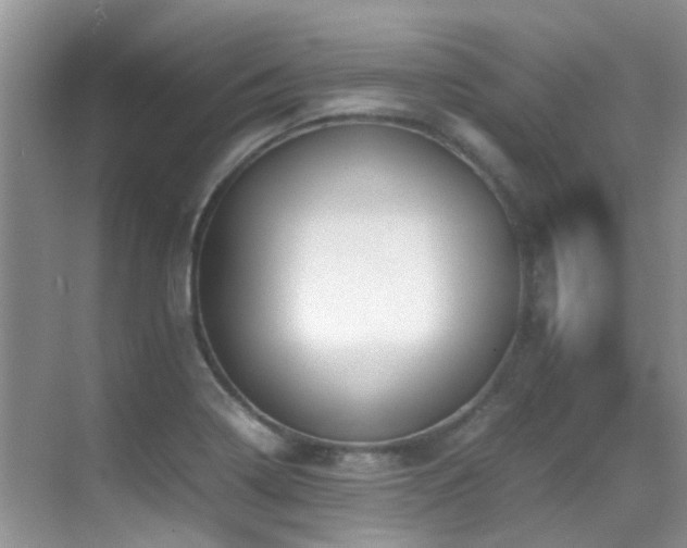 X0000070431322200606091254