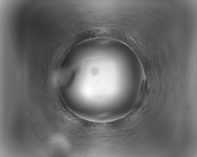 X0000070431345200606091253