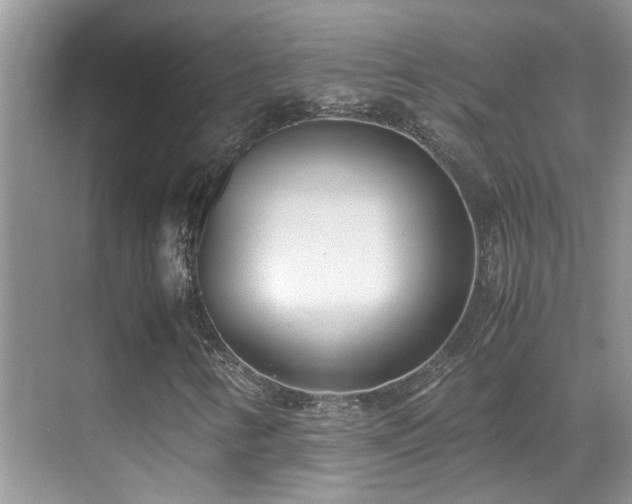 X0000070431346200606091253