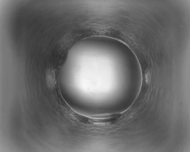 X0000070431347200606091253