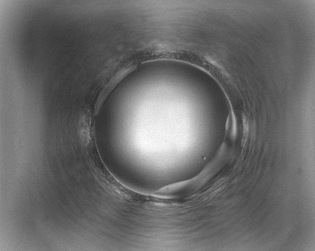 X0000070431348200606091253