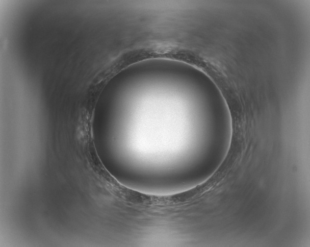 X0000070431349200606091253