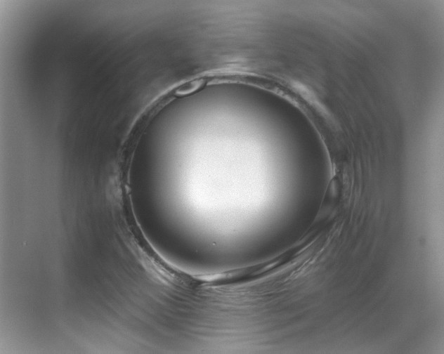 X0000070431356200606091253