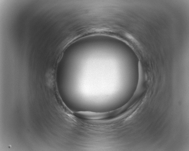 X0000070431361200606091253
