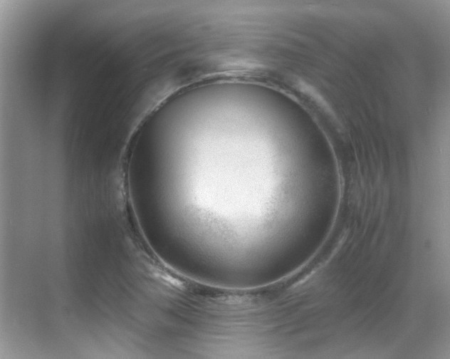X0000070431362200606091253
