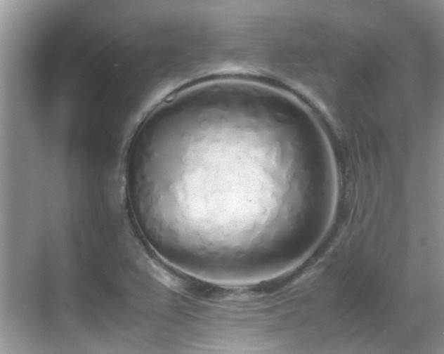 X0000070431367200606091253