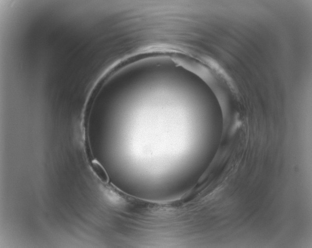 X0000070431372200606091253