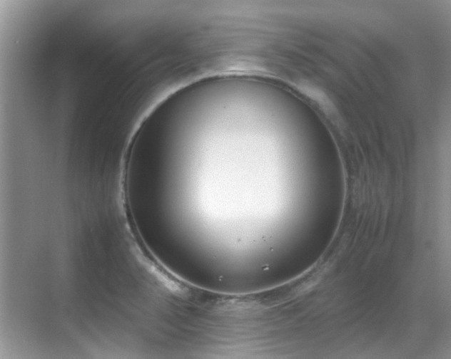 X0000070431374200606091253