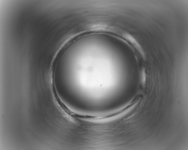 X0000070431376200606091253