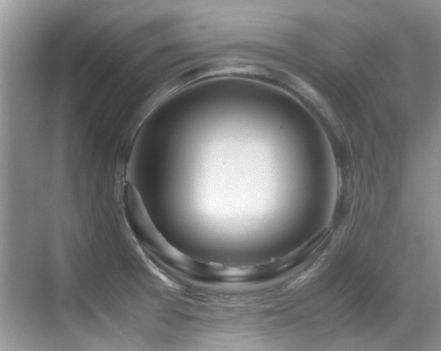 X0000070431377200606091253