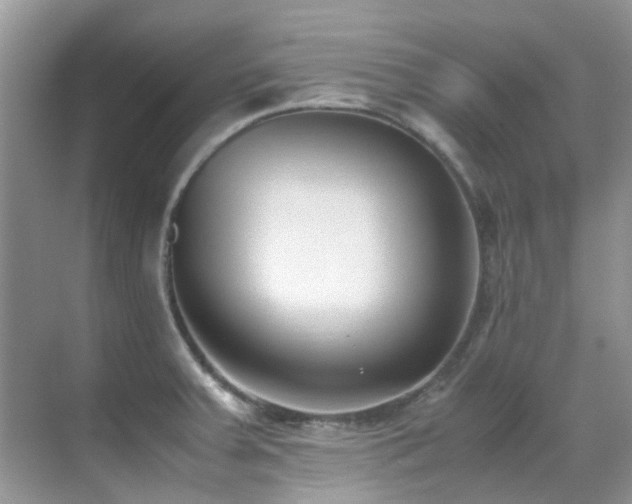 X0000070431379200606091253