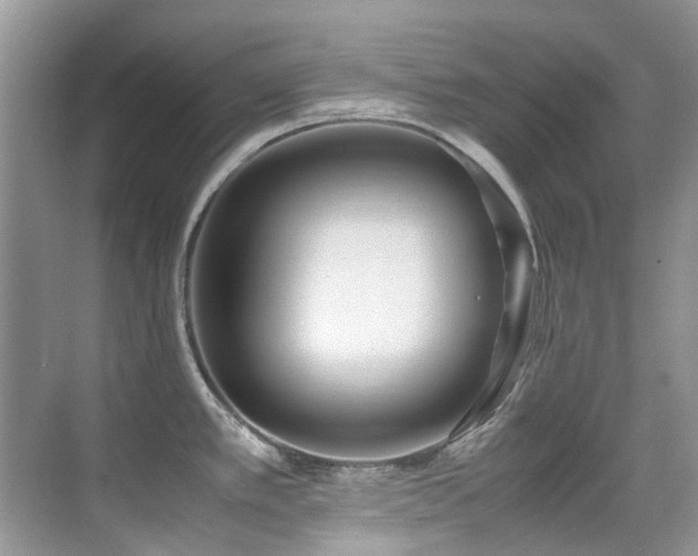 X0000070431389200606091252