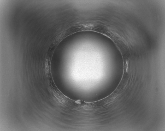 X0000070431395200606091252