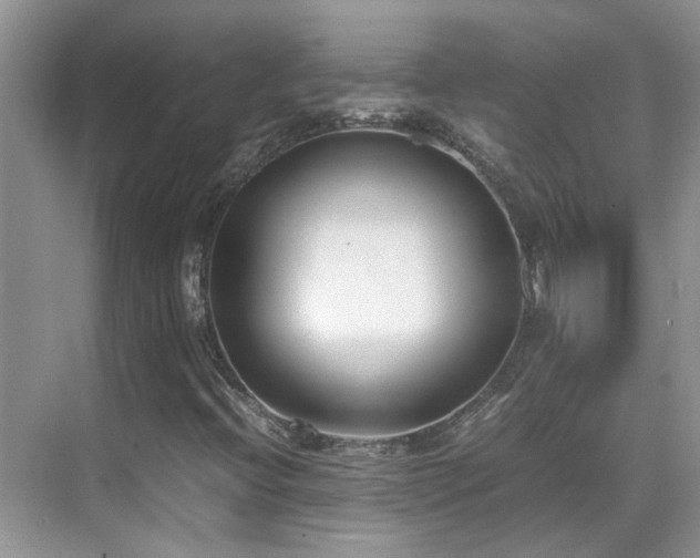X0000070431396200606091252
