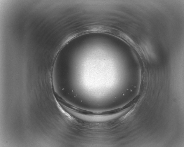 X0000070431433200606091252