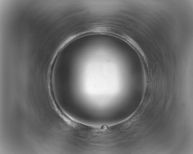X0000070431437200606091252