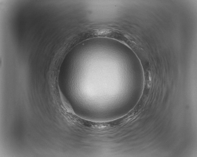 X0000070431441200606091252