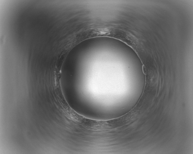 X0000070431442200606091252