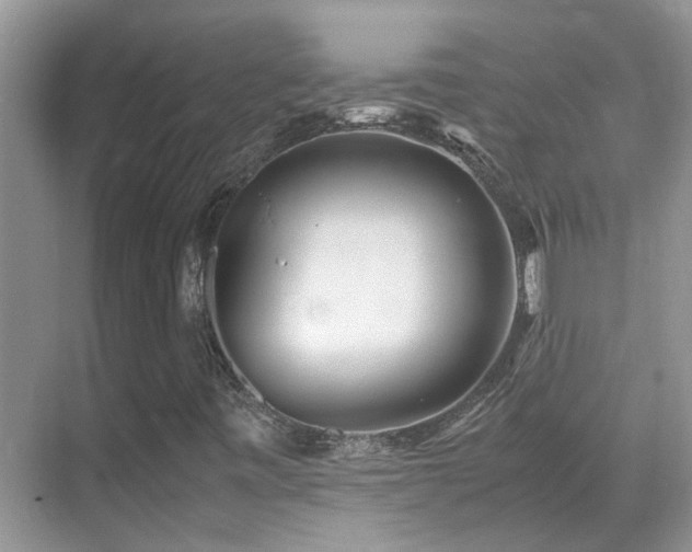 X0000070431443200606091251