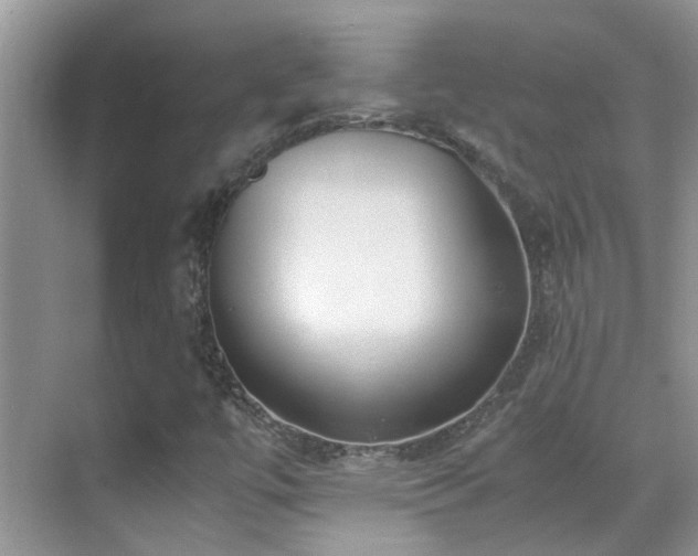 X0000070431447200606091251