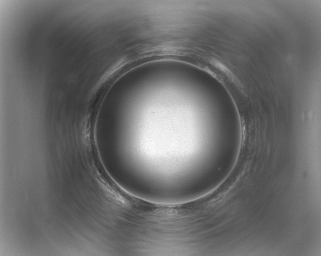 X0000070431450200606091251