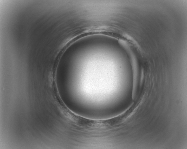 X0000070431457200606091251