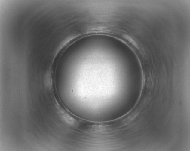 X0000070431458200606091251