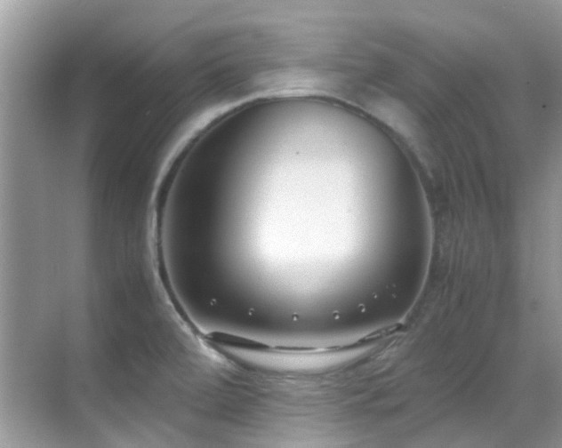 X0000070431472200606091251